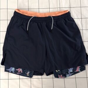 Chubbies Lined Gym Shorts